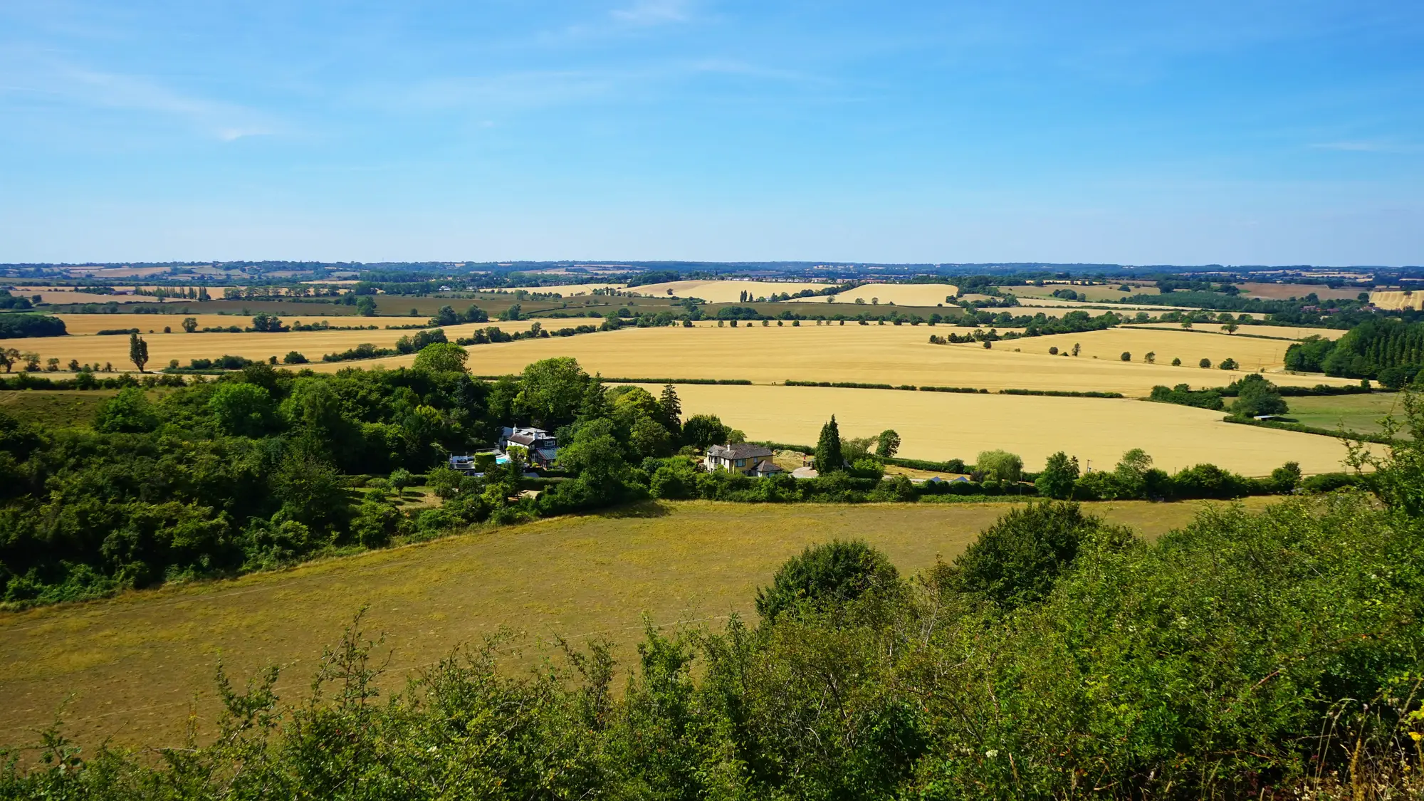 A patchwork of cut and standing arable parcels between hedgerows, seen from a hillside